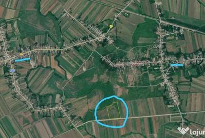 Teren de 76400 mp, în Mătăsaru