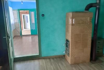 Casă cu Teren 3000 Mp în Sohodol