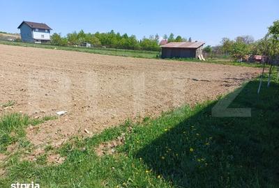 Teren de 3000 mp, în Burdujeni