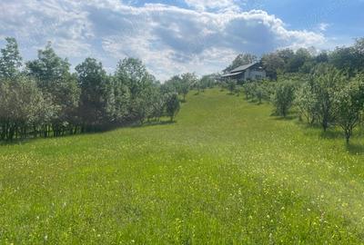 Teren de 5000 mp, în Schiulești - 7