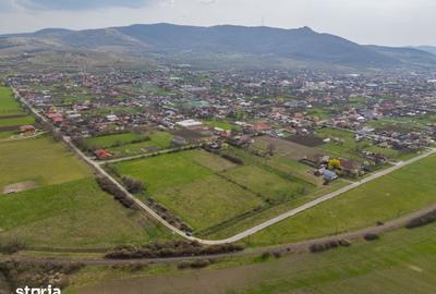 Teren de 1440 mp, în Șiria - 5