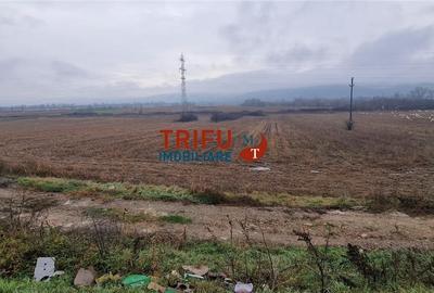 Teren de 6257 mp, în Central