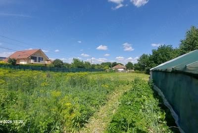 Casă cu Teren 2500 Mp în Șerbănești - 5