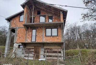 Casă cu 4 camere în Viile Satu Mare - 2