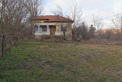 Teren de 6000 mp, în Priboieni - 4