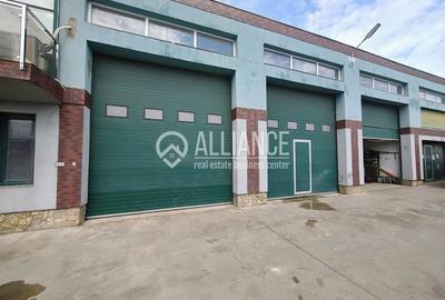 Spațiu industrial, de 500 mp, în Brătianu - 1