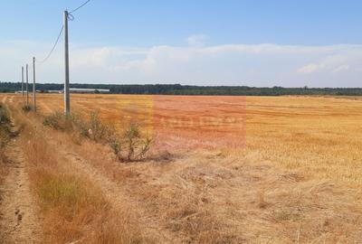Teren Construcții intravilan de 2000 mp, în Brănești - 23