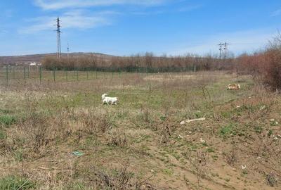 Teren în Valea Călugărească - 2