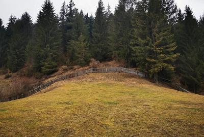 Teren de 2000 mp, în Stejaru (Pângărați) - 3