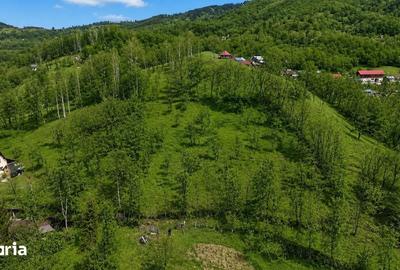 Teren de 3485 mp, în Cerașu - 5