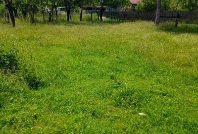 Casă individuală cu 4 camere cu Teren 940 Mp în Livezeni - 3