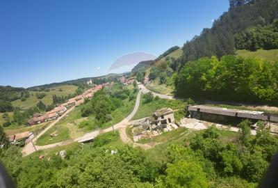 Teren Construcții intravilan de 3312 mp, în Criș - 4