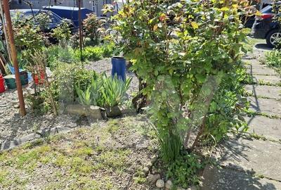 Apartament cu 2 camere în Terezian - 1