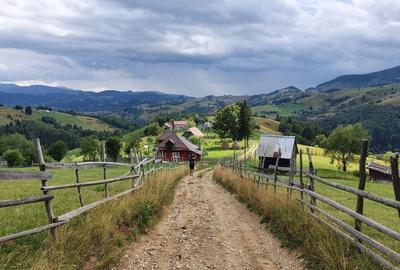Teren de 8800 mp, în Peștera