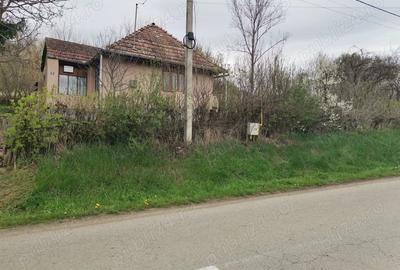 Casă cu 2 camere cu Teren 2900 Mp în Central - 1