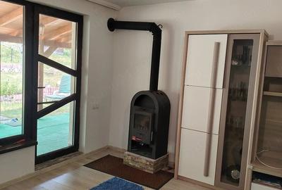 Casă cu Teren 1600 Mp în Cerghid - 5