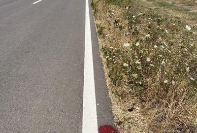 Teren de 15000 mp, în Fierbinți - 6