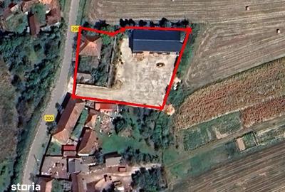Spațiu comercial, de 240 mp, în Holod - 5