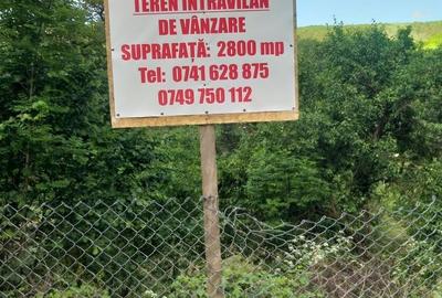 Teren de 2800 mp, în Micești - 7