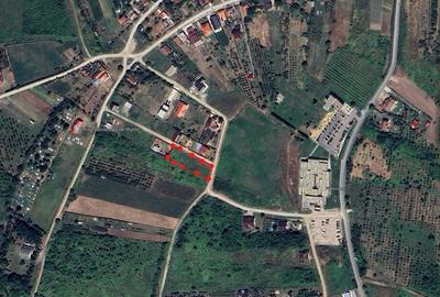 Teren de 981 mp, în Paleu