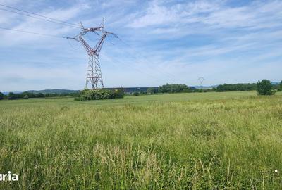 Teren de 10889 mp, în Băcia - 1