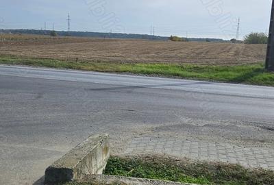 Teren în Cocorăștii Colț - 2