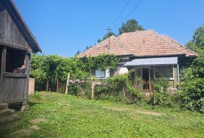 Casă cu 3 camere în Cămărașu