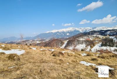 Teren Construcții extravilan de 150000 mp, în Șirnea - 7