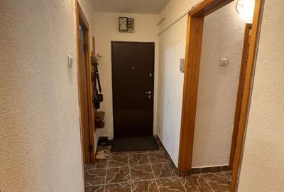 Apartament cu 3 camere decomandat în Craiovița Nouă - 9