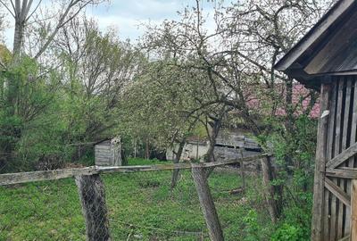 Casă individuală cu 3 camere cu Teren 845 Mp în Dumbrava (Unirea) - 4