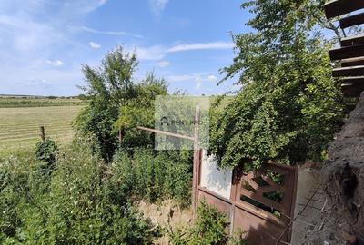 Teren agricol extravilan de 11000 mp, în Neajlovu - 16