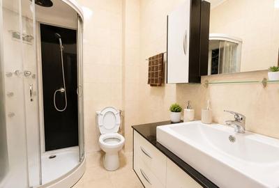 Apartament cu 3 camere, mobilat în Fundeni - 7
