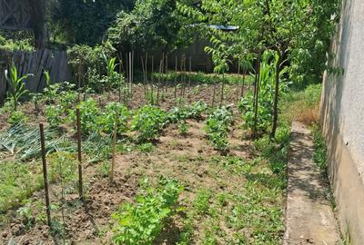 Casă individuală cu 3 camere cu Teren 900 Mp în Galicea - 4