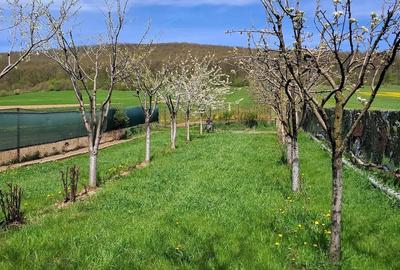 Casă cu Teren 4470 Mp în Vâlcele