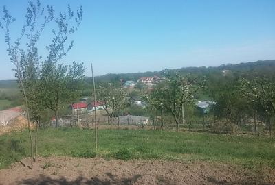 Teren Construcții intravilan de 1200 mp, în Central