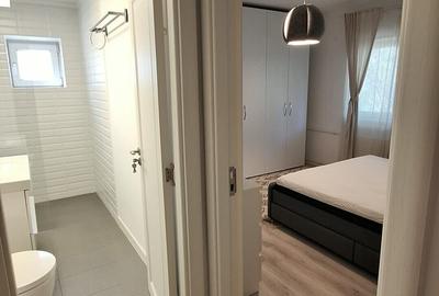 Apartament cu 2 camere decomandat, mobilat în Dristor - 12