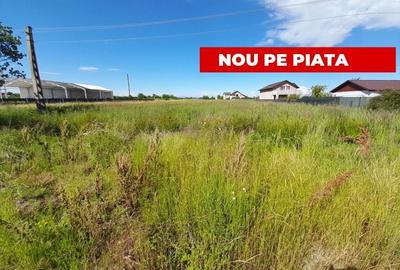Teren Construcții intravilan de 1312 mp, în Bradu