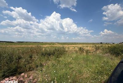 Teren de 12000 mp, în Cârcea