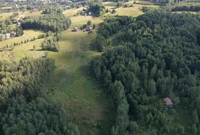 Teren de 38781 mp, în Râșca - 9
