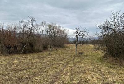 Teren în Măgura - 6