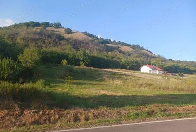 Teren de 2800 mp, în Divici