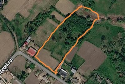 Teren de 5400 mp, în Sulița
