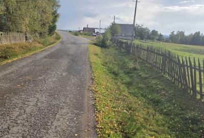 Teren de 4806 mp, în Dealu Negru - 3