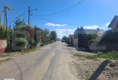 Spațiu comercial, în Viișoara