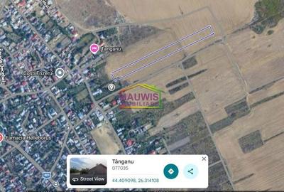 Teren de 11120 mp, în Cernica - 2
