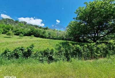 Teren de 2853 mp, în Urechești - 12