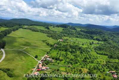 Teren Construcții intravilan de 19822 mp, în Runcu - 21