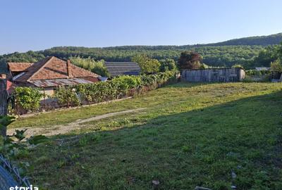Teren de 650 mp, în Goranu