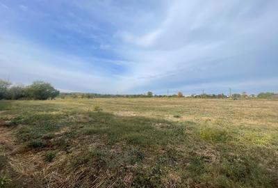 Teren Construcții intravilan de 6900 mp, în Exterior Sud