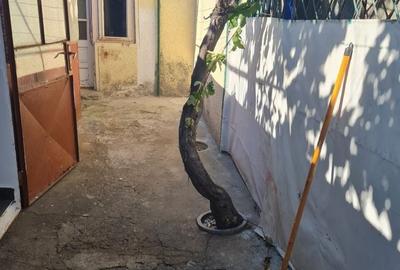 Casă cu 4 camere în Dacia - 7